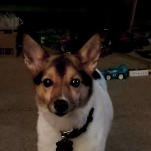 Meet your Posher, Jill